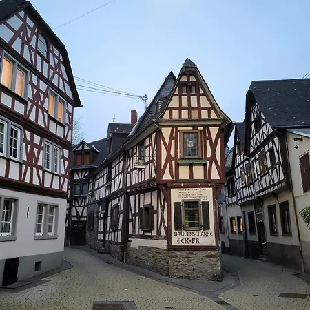 Rheinferien Apartamento *